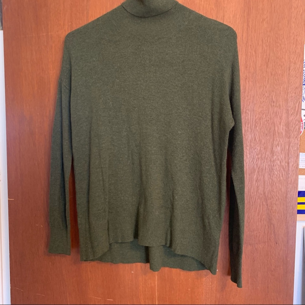 AEO Green Turtleneck Sweater